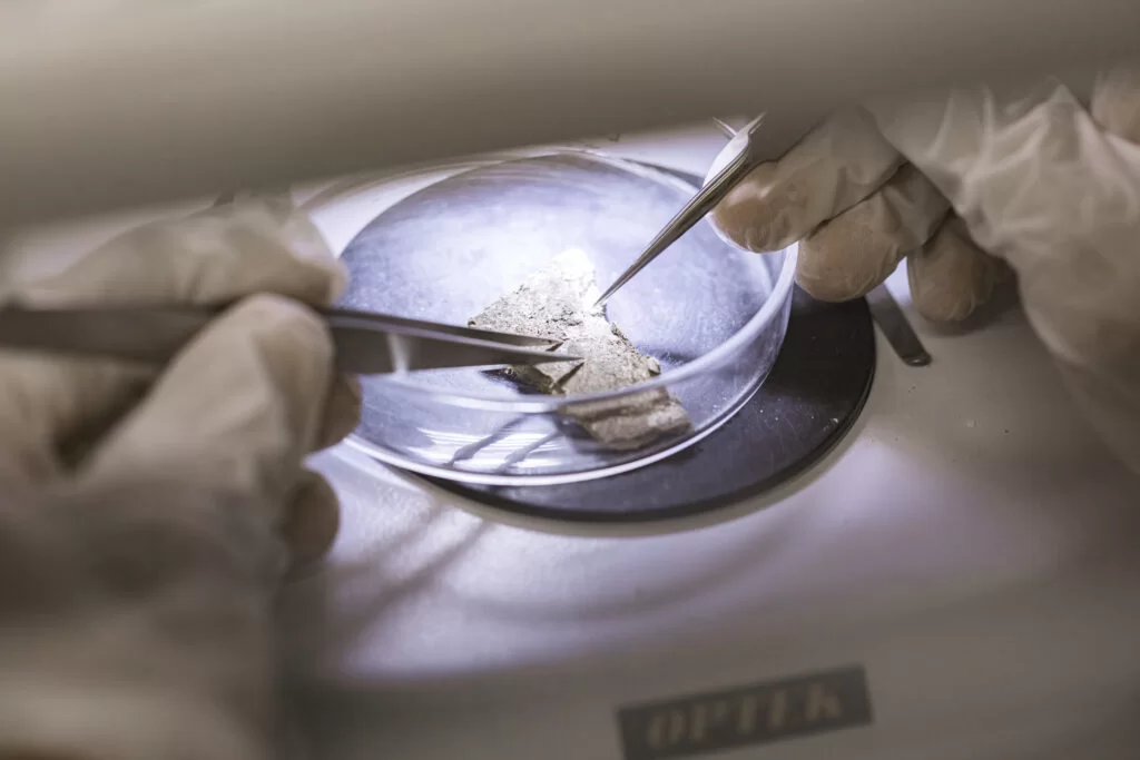 Asbestos Inspection